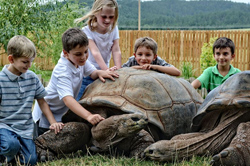 Reptile Gardens