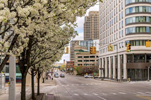 Experience Grand Rapids