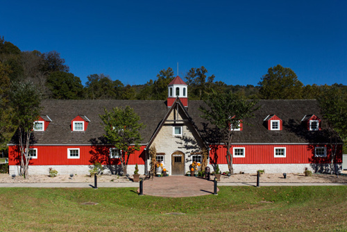 Experience Kentucky's Unbridled Spirit