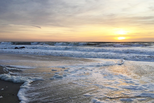 Rehoboth Beach - Dewey Beach Chamber of Commerce & Visitors Center